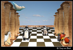 Chess... by Dray Van Beeck 